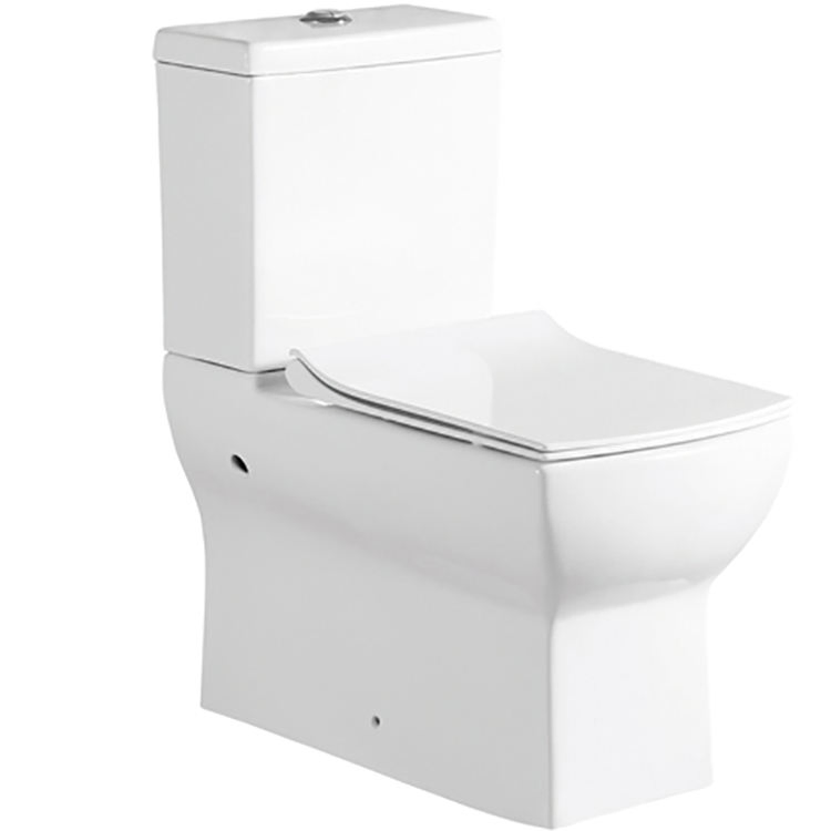 Siphon Flushing Standing Floor Washdown Watermark Wall Hung Smart Toilet Closestool ODM
