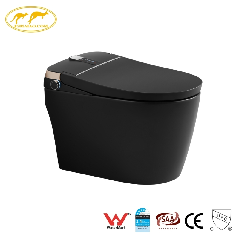 Watermark White Standing Mounted Auto Flush One Piece Smart Toilet