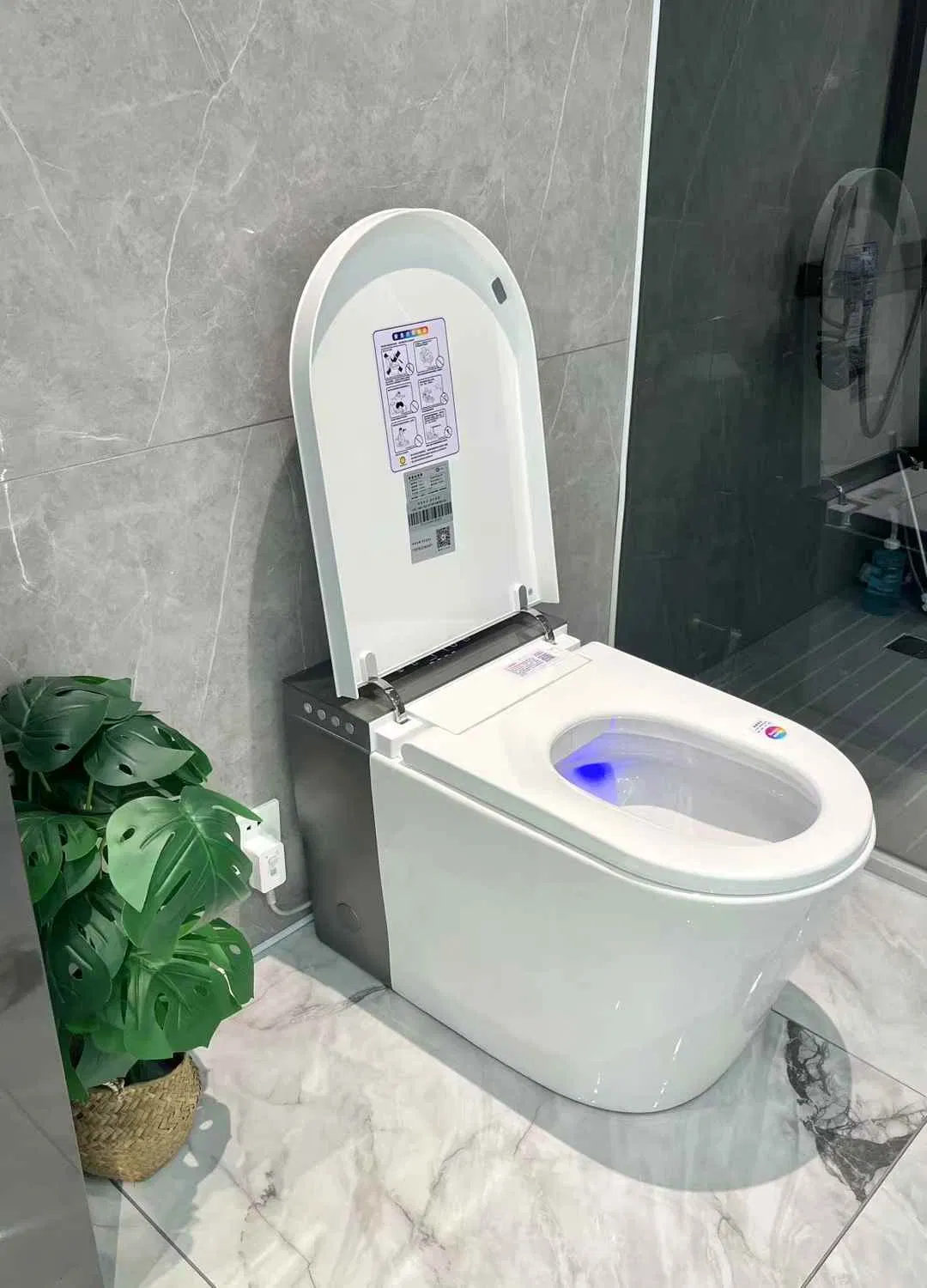 North American and European Design Styles Large Bowl Panel Switch and Floor Standing Smart Toilets