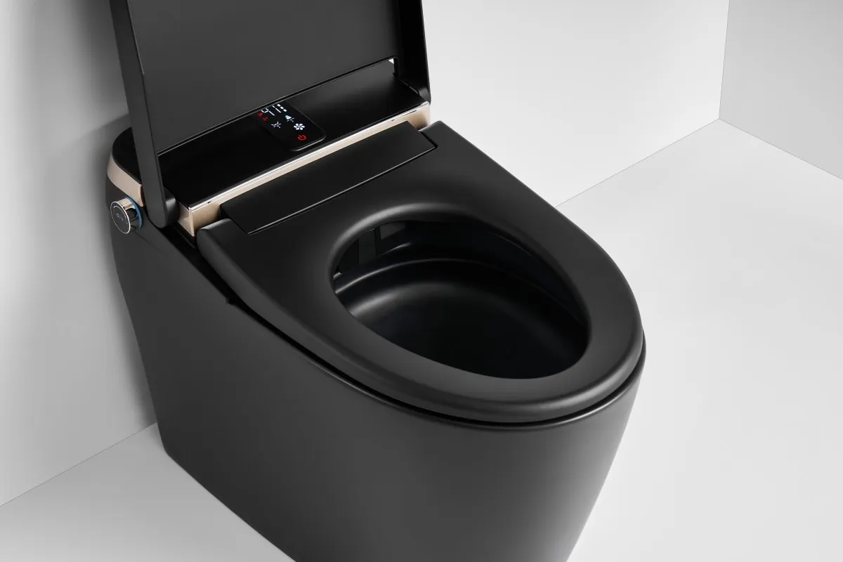 Smart Toilet View 6