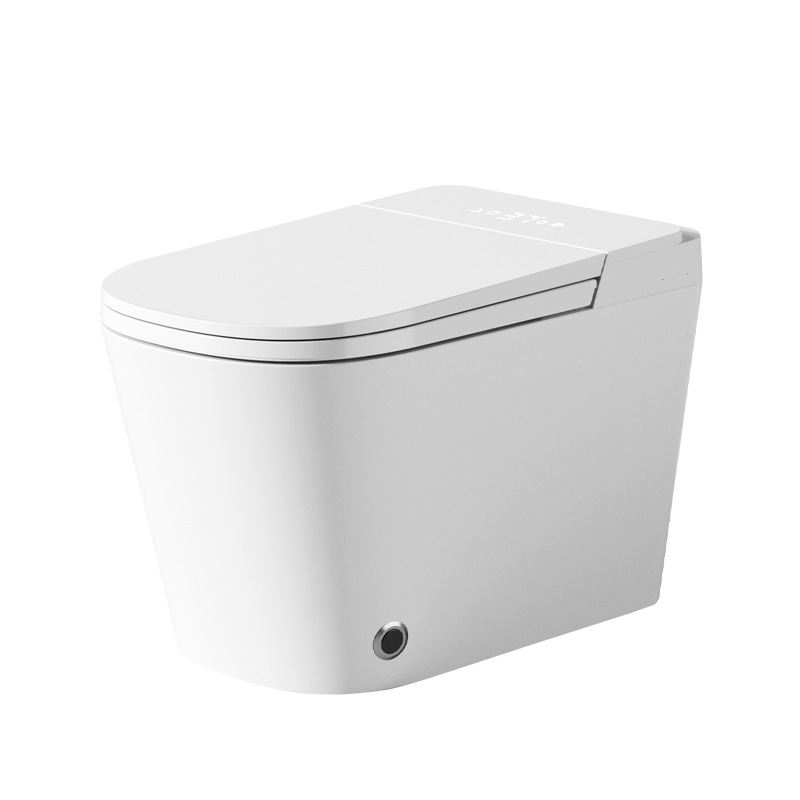 Toilet Auto Flush Clean Function One Piece Commode S-Trap Ceramic Smart Wc Toilet
