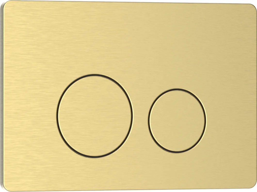 Dual Flush Flush plate 1