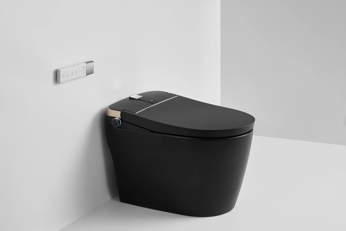 Smart Toilet View 1