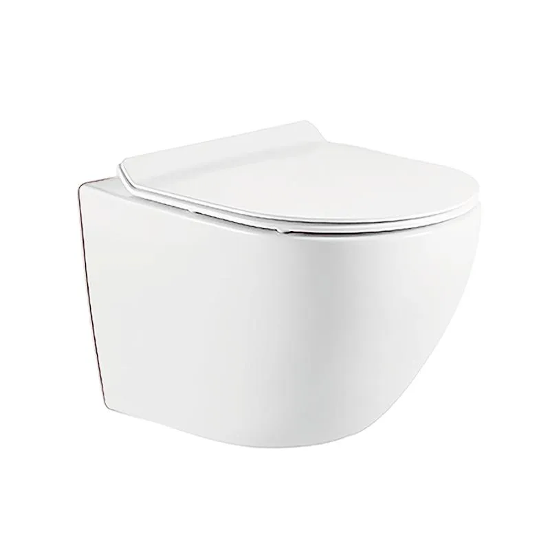 Wall Hung Toilet with Concealed Tank