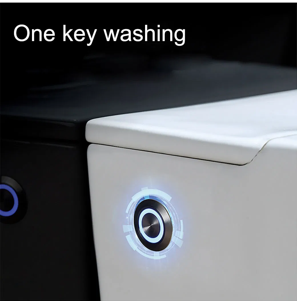 Wall Hung Toilet View 9