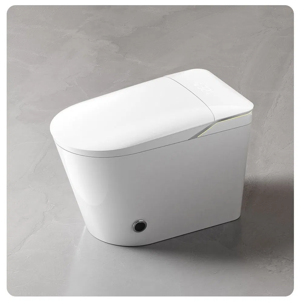 New Model Floor-Standing Bidet Smart Toilet with Light Special Button