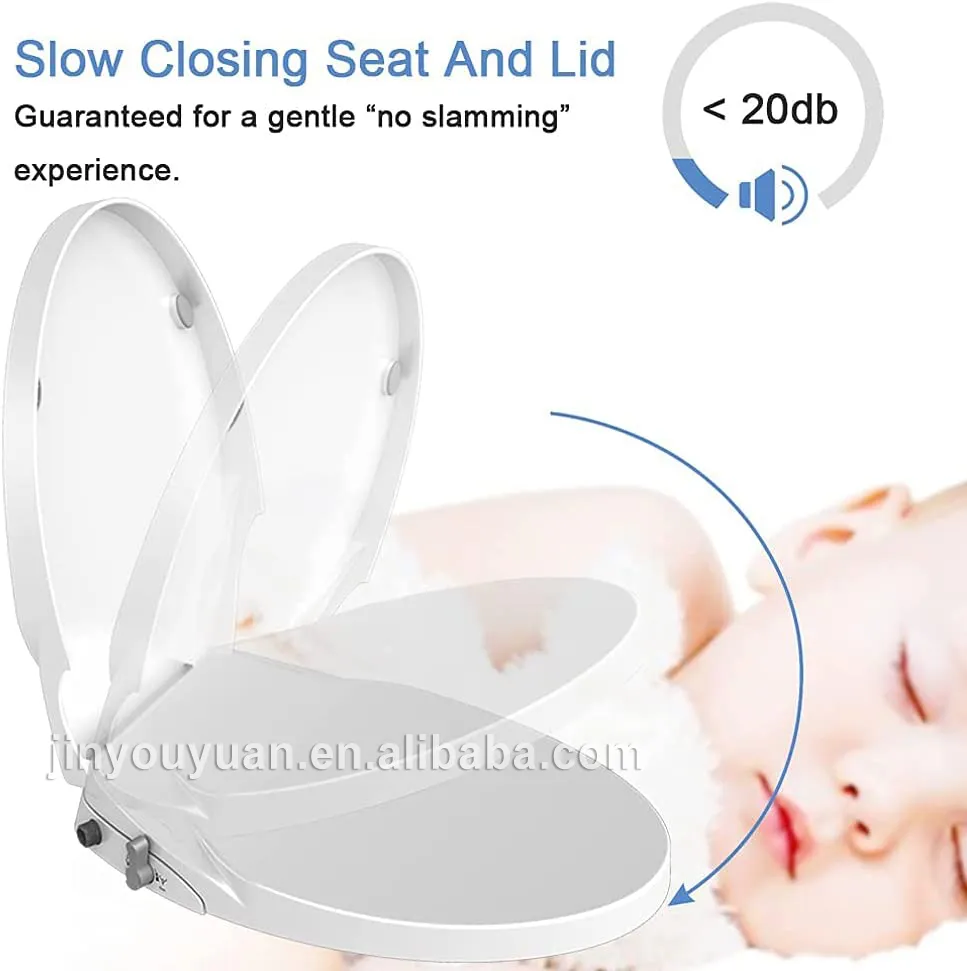 Bidet Toilet Seat 2