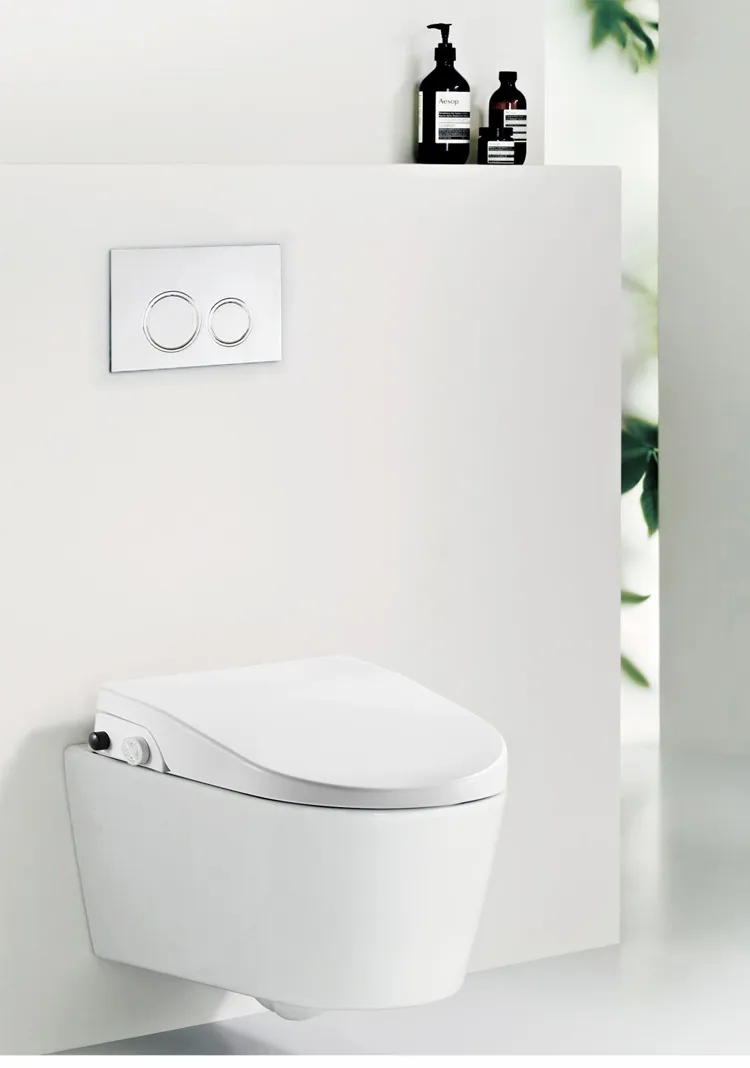 Concealed Water Saving Toilet Tank