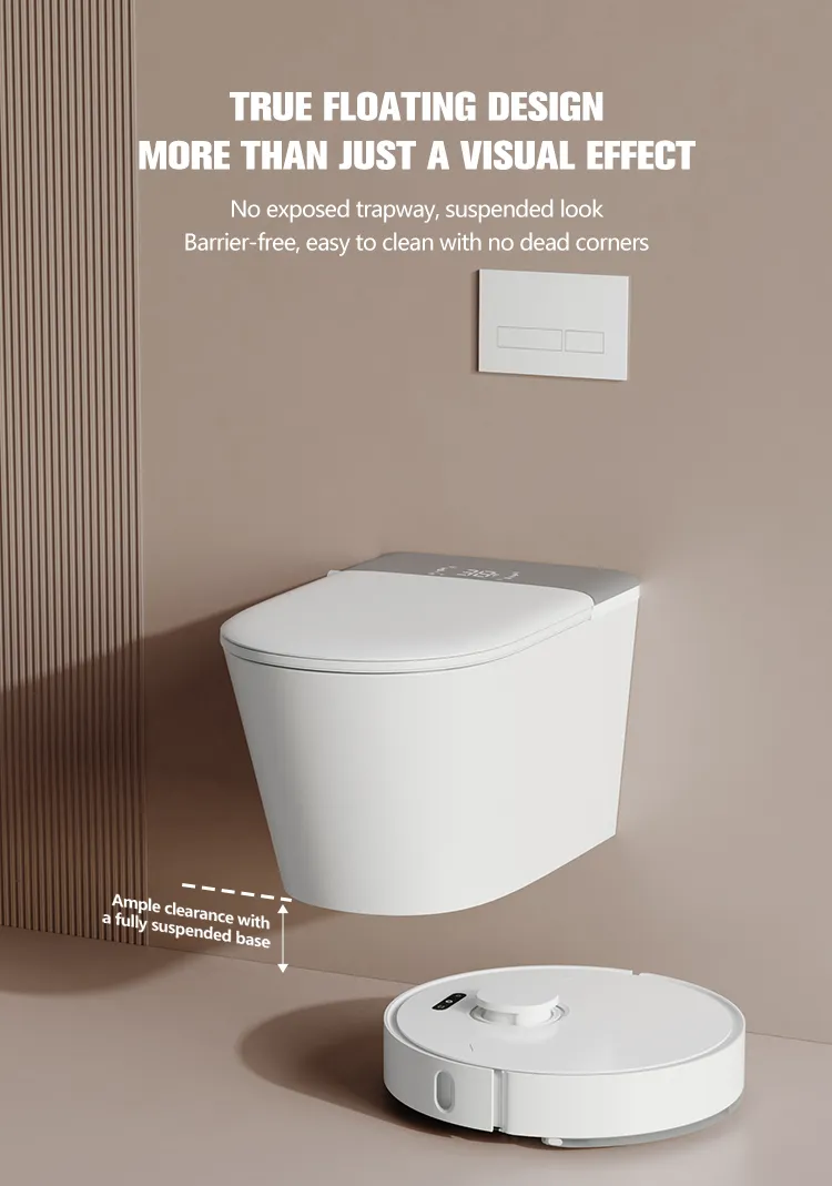 Smart Toilet Detail 6