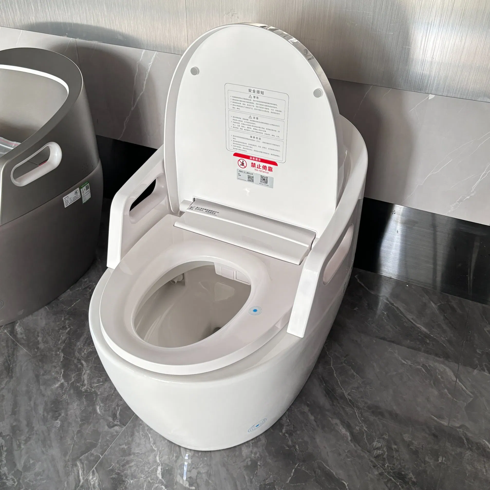 Floor Standing Mounted Intelligent Smart Toilet with Handrails for Elderly/Disabled People