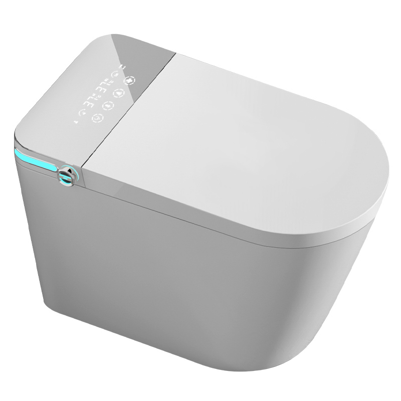 Tankless Bidet Intelligent Control LED Water Saving Smart Toilet