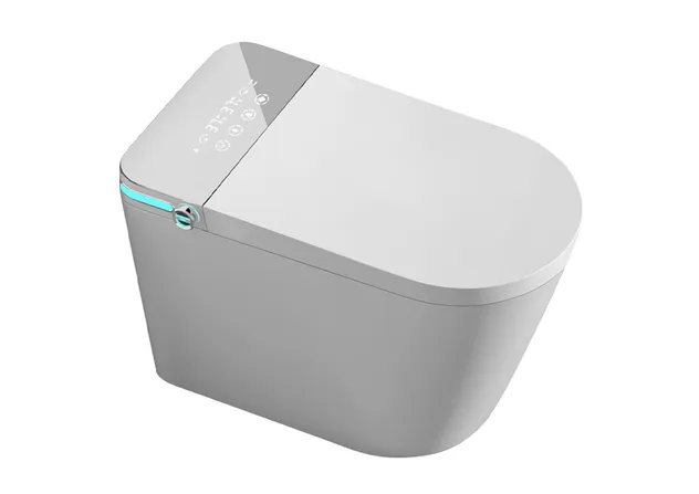 Smart Toilet Feature 1