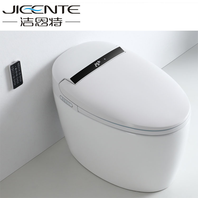 Bathroom Bidet Automatic Intelligent Bidet Toilet