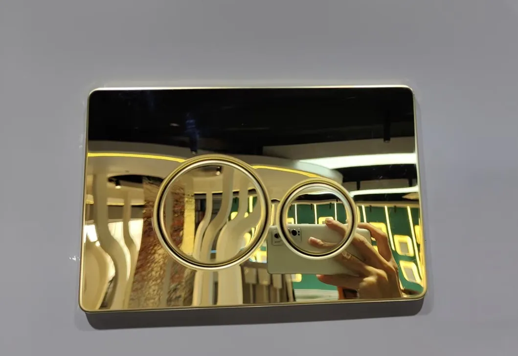 Dual Flush Flush plate 2