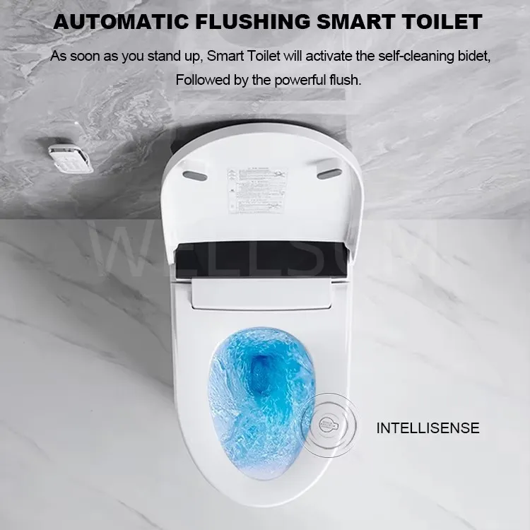 Smart Toilet Detail 1