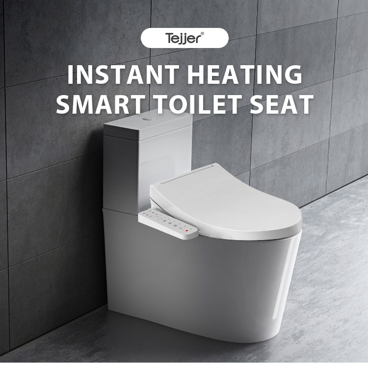 Side Panel Control Slim Bidet Shower Toilet Seat