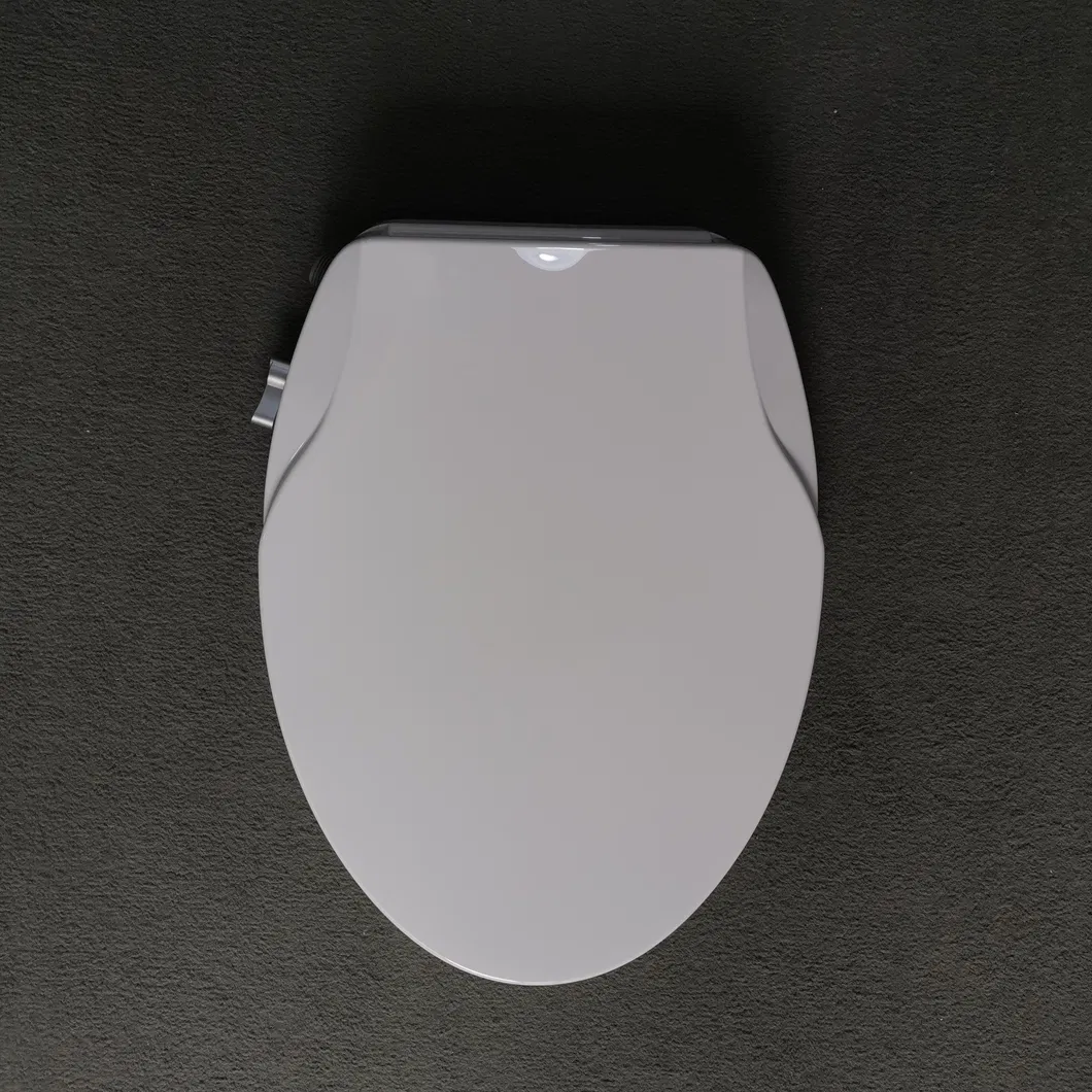 Toilet Seat Detail 3