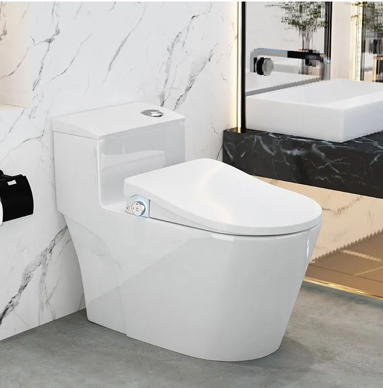 Smart Toilet Overview