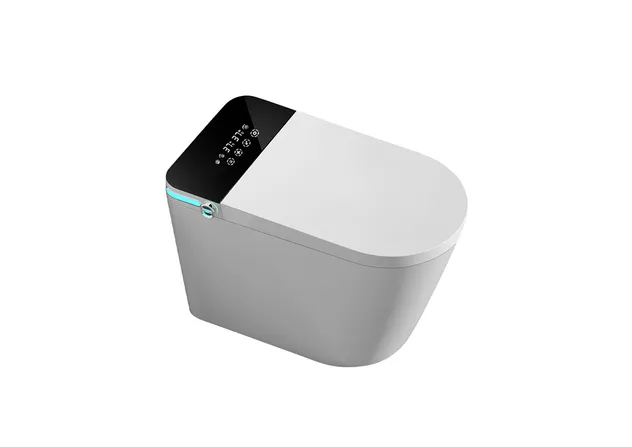 Smart Toilet Feature 2