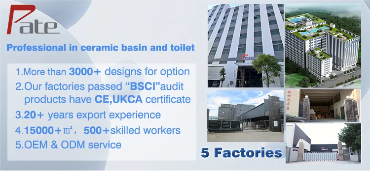 Smart Toilet Split Wc Overview