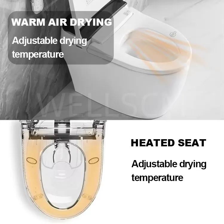 Smart Toilet Detail 2