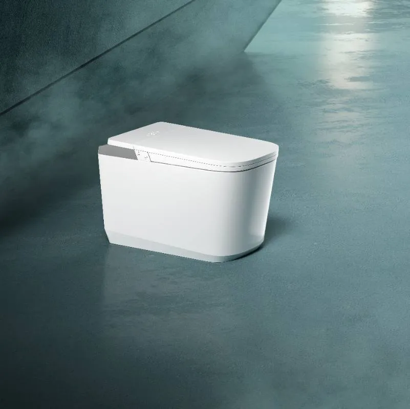 Full Automatic Smart Toilet