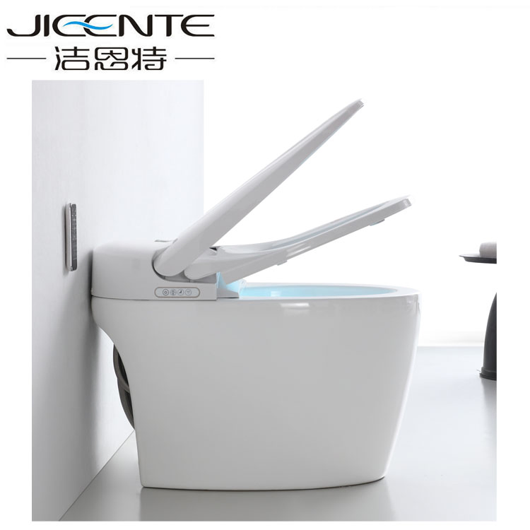 Bathroom Bidet Automatic Intelligent Bidet Toilet