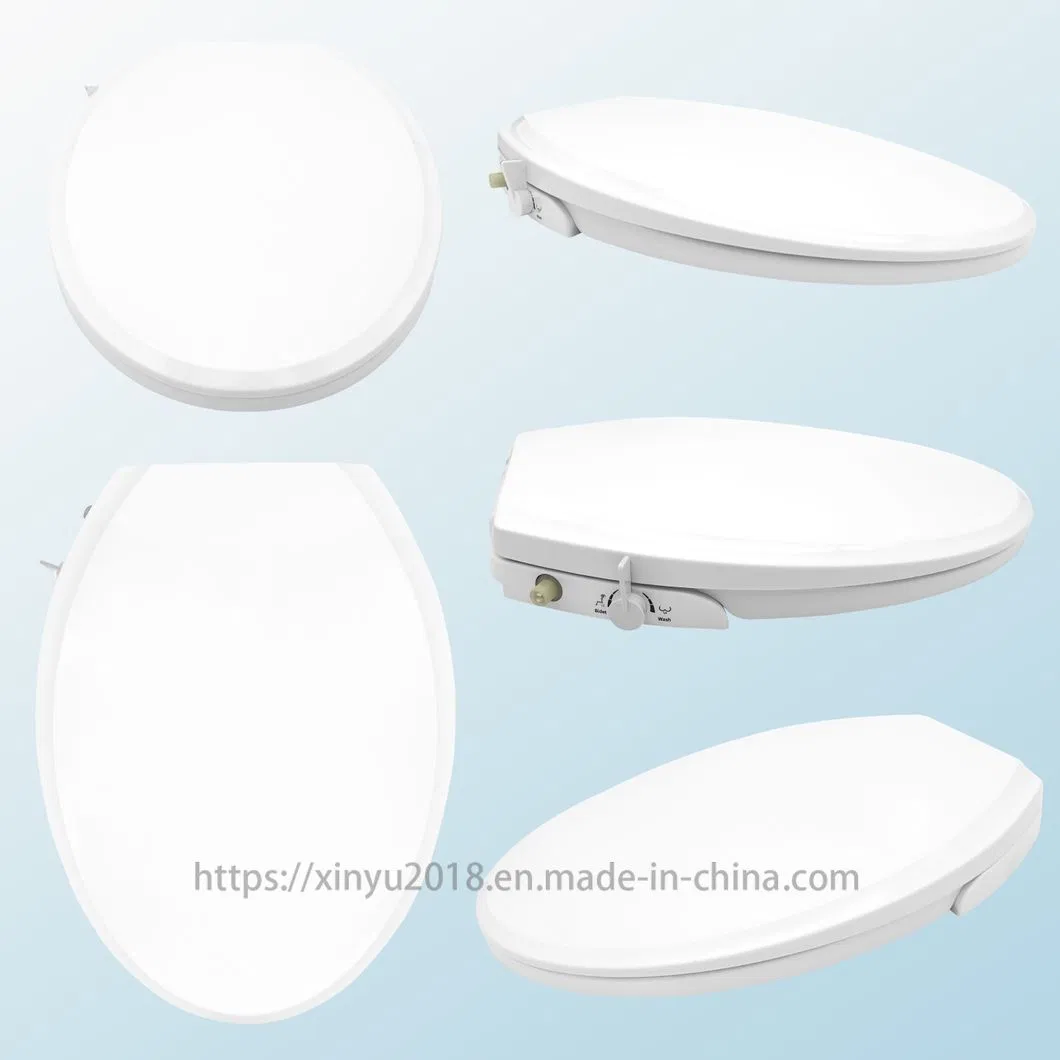 Bidet Toilet Seat 1