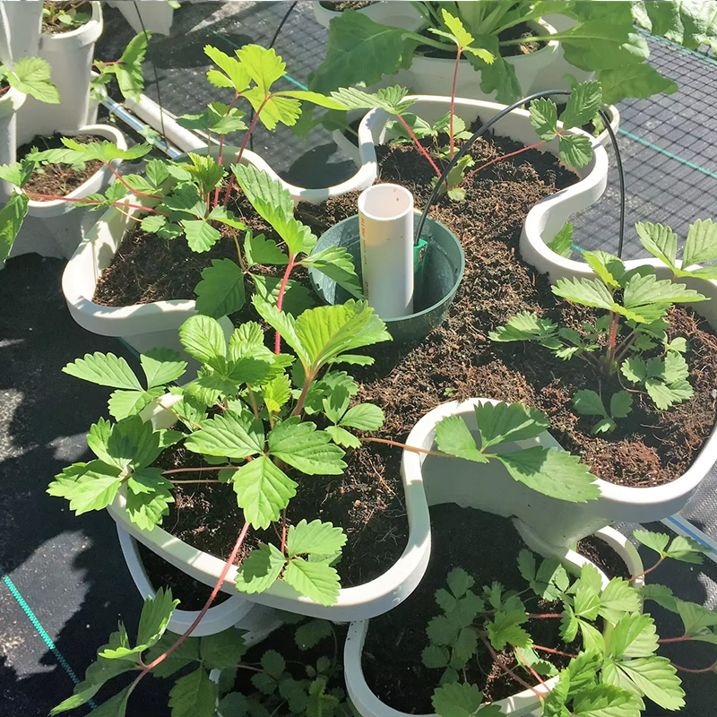 Veryday Use Stackable Planter Tower Vertical Garden Growing Pot