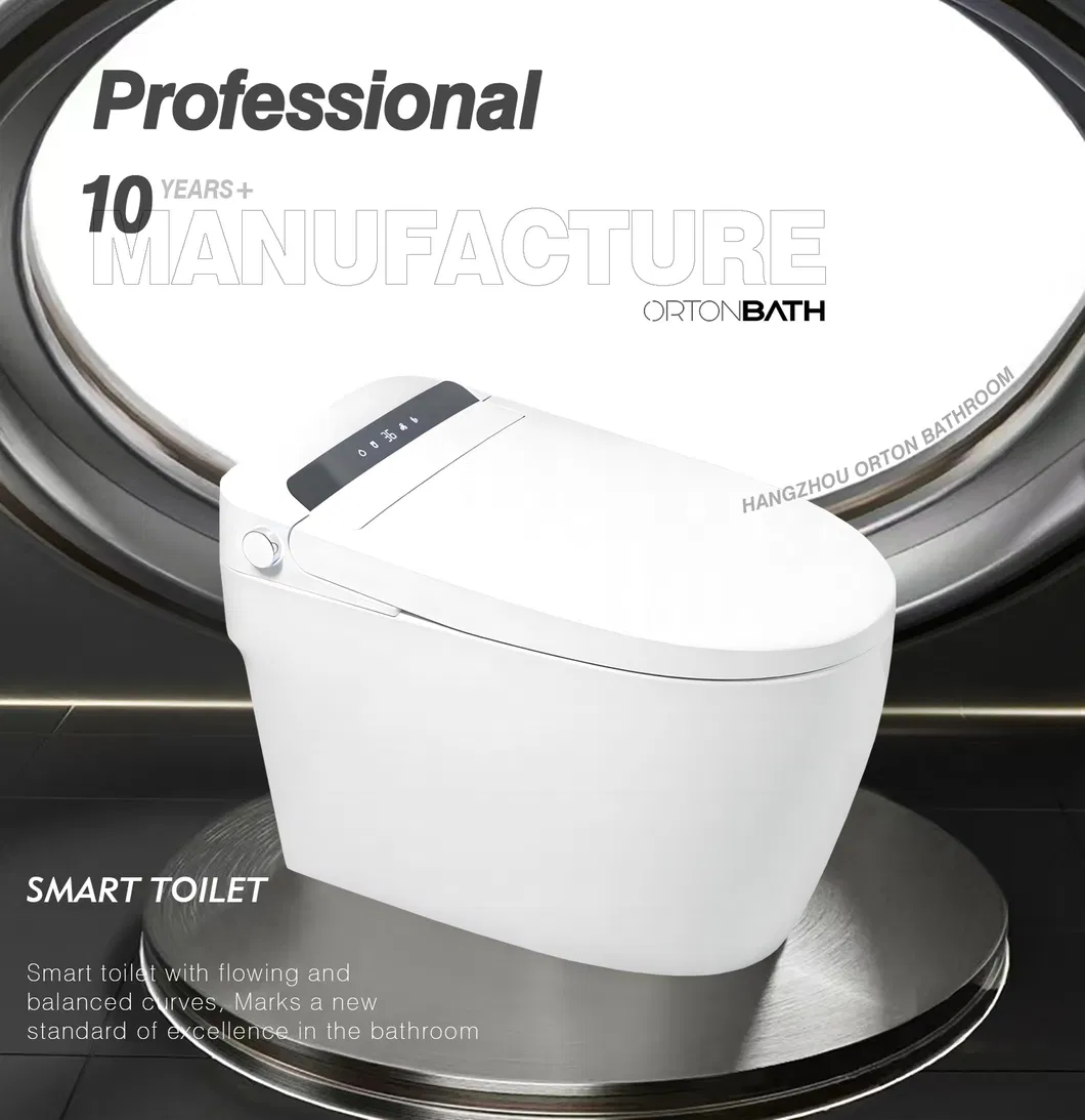 Modern Smart Toilet Overview
