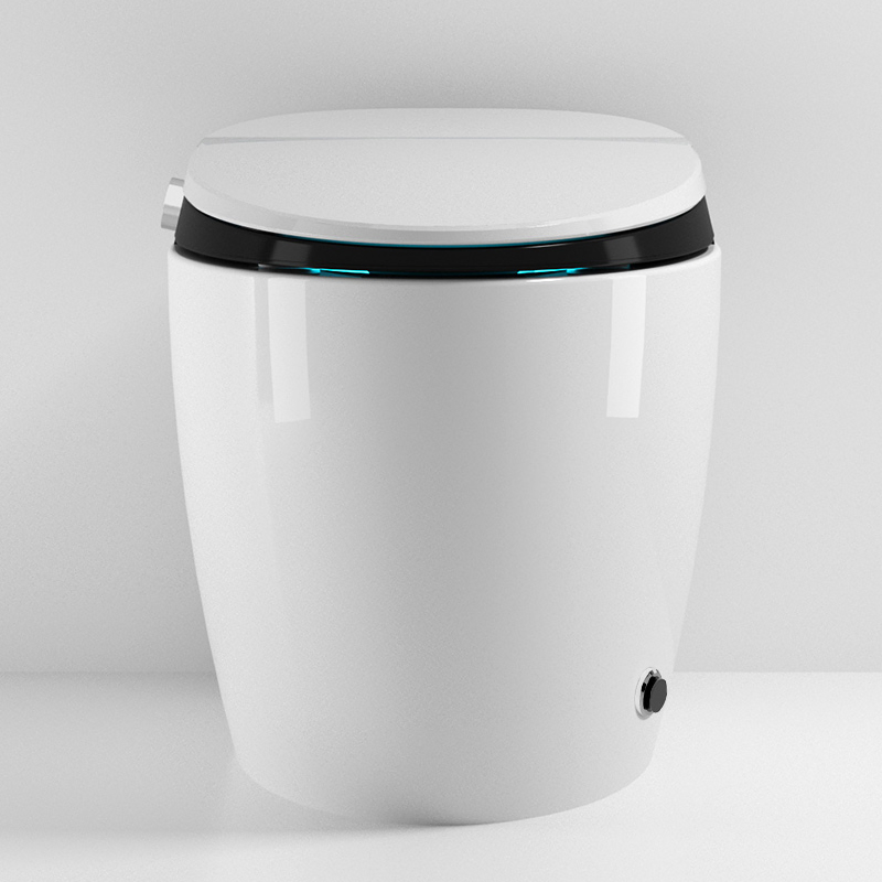 Smart Toilet with Advanced Bidet Function Self Cleaning Nozzle and Warm Air Dryer