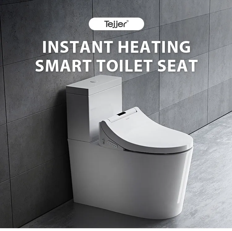 Electric Bidet Seat