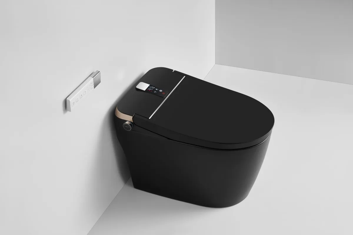 Smart Toilet View 2