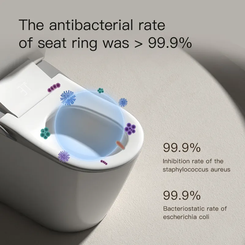 Smart Toilet View 11