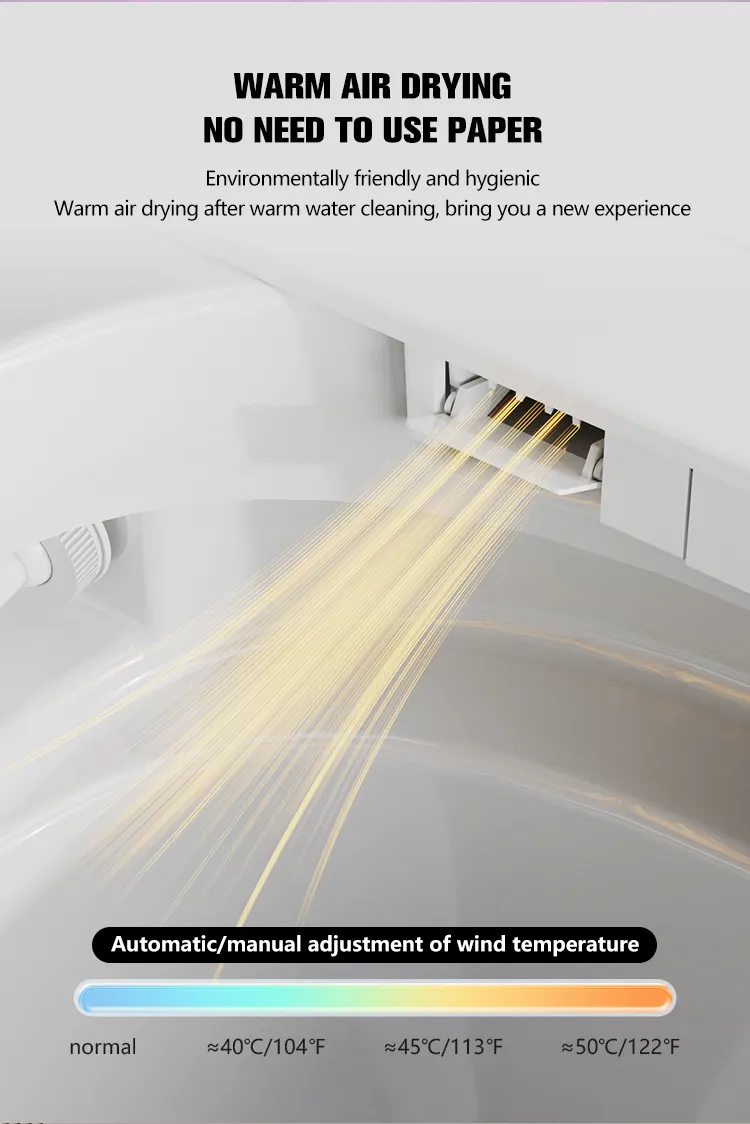 Smart Toilet Features 2