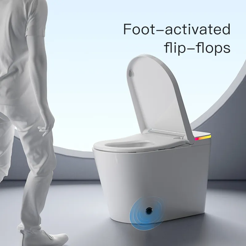 Smart Toilet View 6