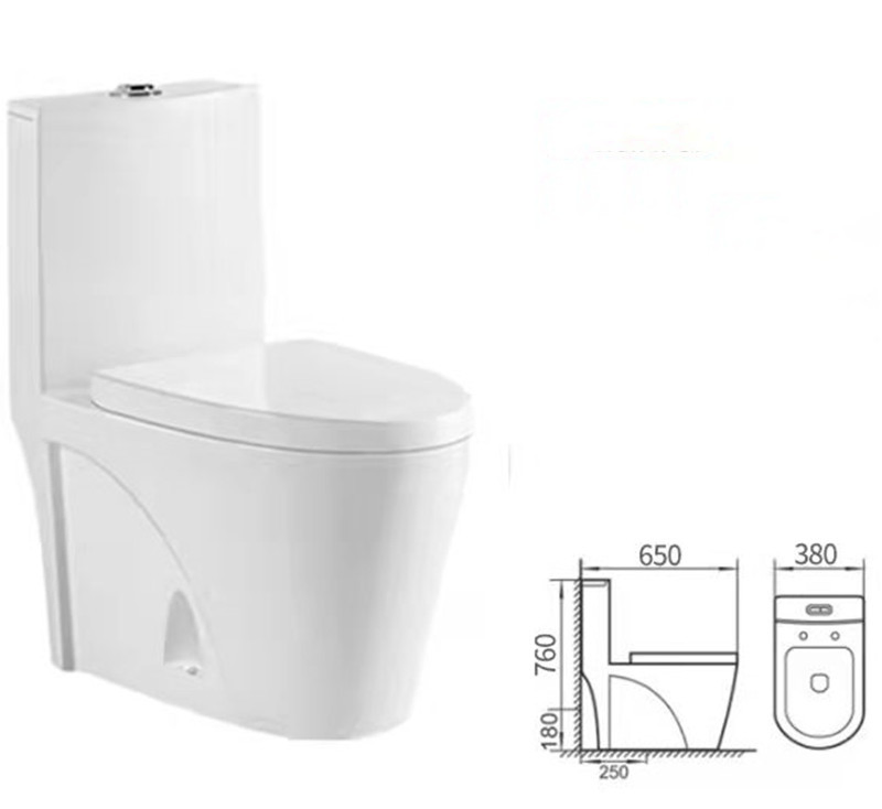 Siphon Flushing Standing Floor Smart Washdown Watermark Wall Hung Rimless Toilet Nightstool ODM