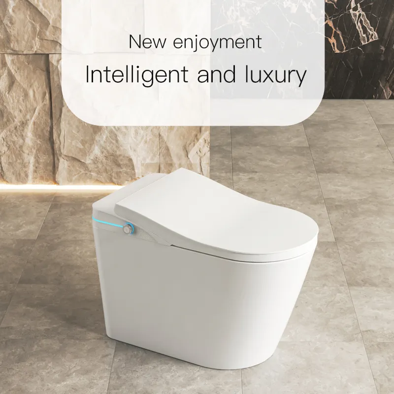 Smart Toilet View 22