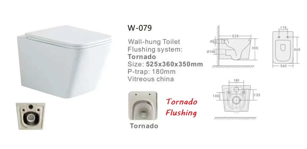 W-077 Wall Hung Toilet 3
