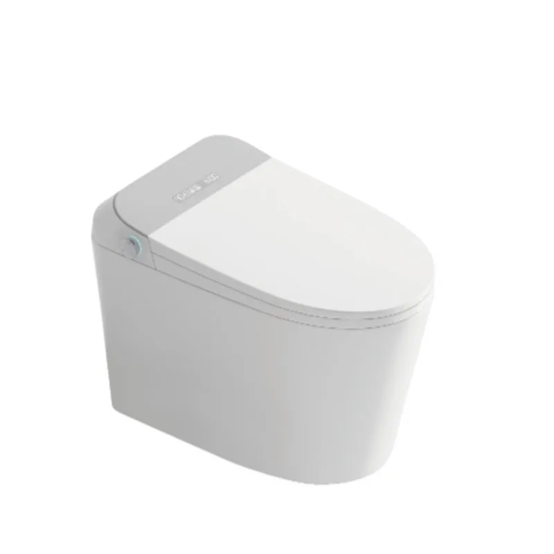 Smart Toilet Style 1