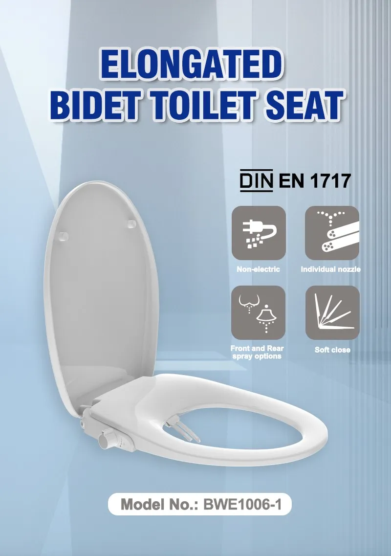 Shower Toilet Bidet Feature
