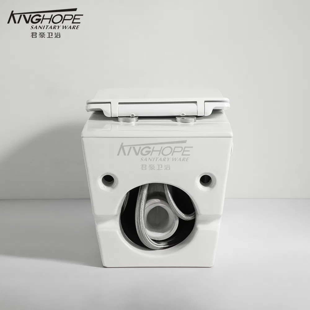 Luxury Sanitary Ware Ceramic Smart Wall-Hung Wc Sanitary Toilet for Hotel with Pulse Flushing