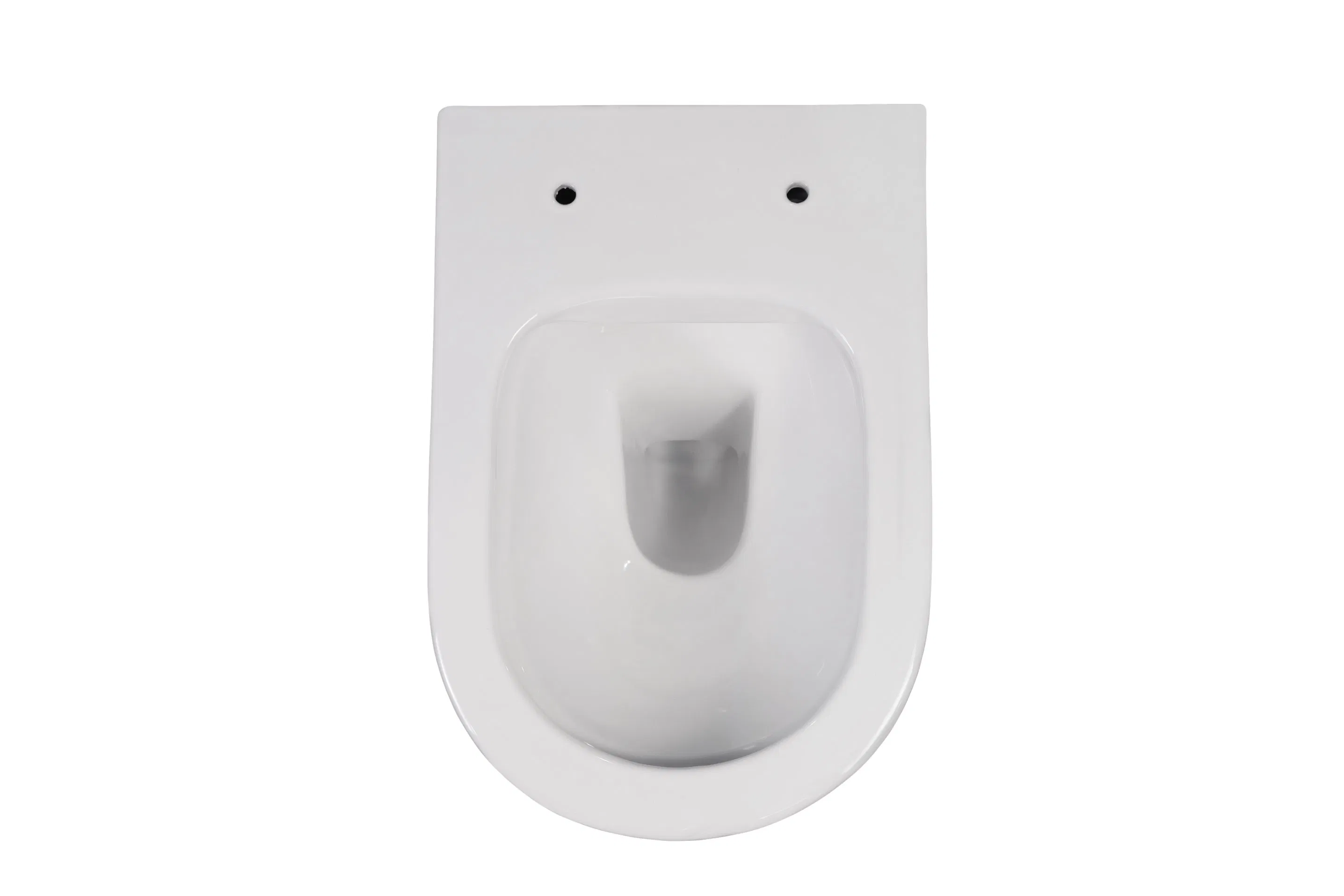 Flushing Washdown Wall Hung Toilet with Concealed Cistern
