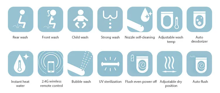 Smart Toilet Feature 1