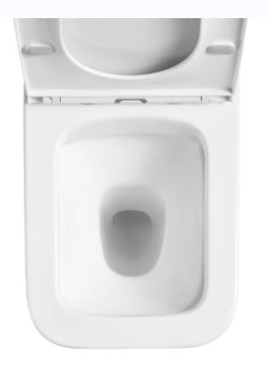 wall mounted commode