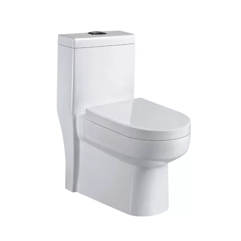 Manufacture Modern Standing Floor Two Smart Washdown Watermark One Piece Toilet Stool