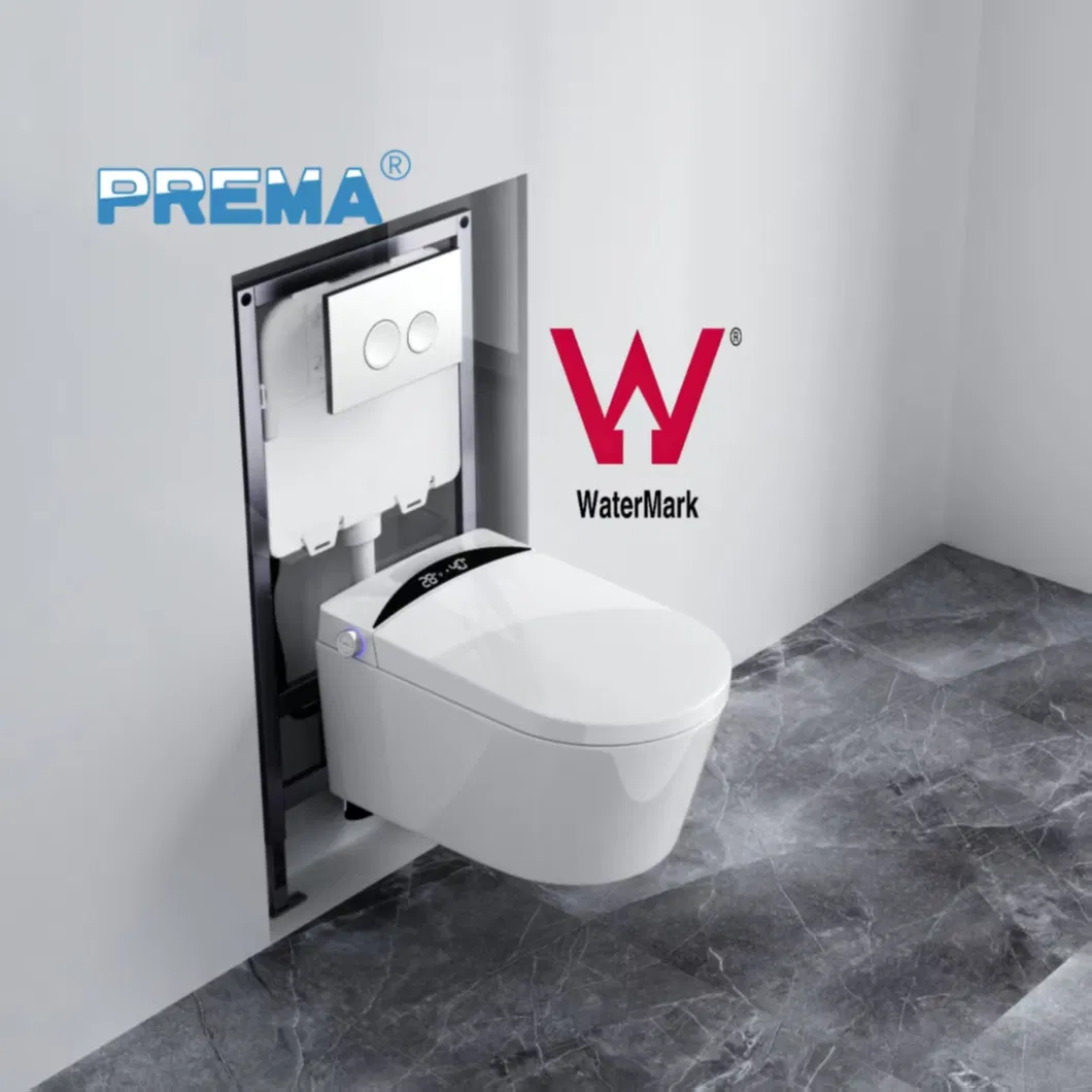 Smart Toilet View 3