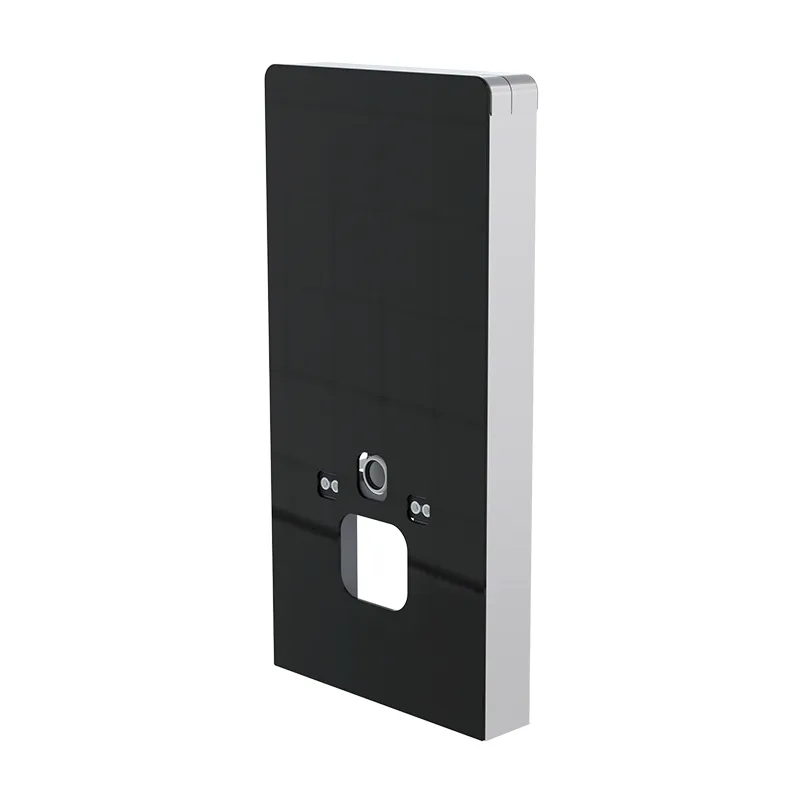 Toilet Cistern Details