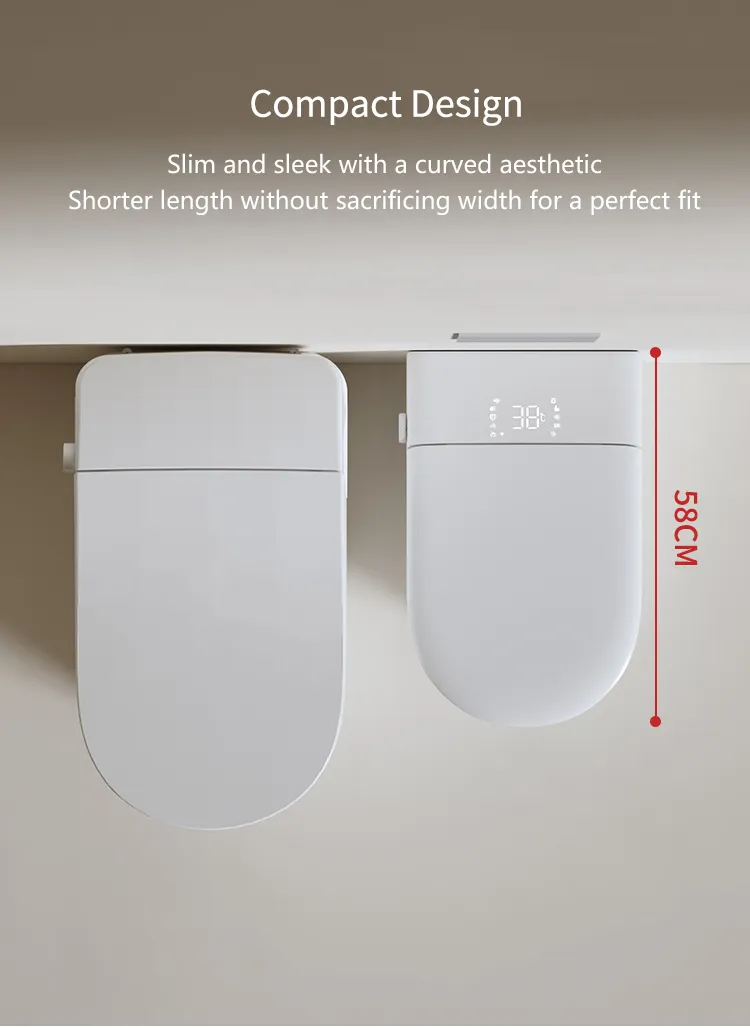 Smart Toilet Feature 3