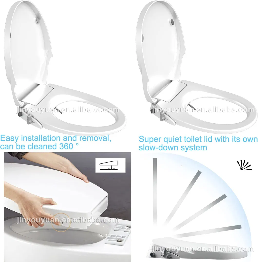 Bidet Toilet Seat 4
